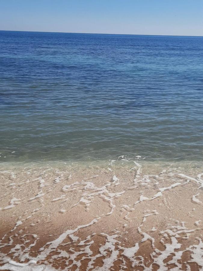 Студия На Белоснежном Пляже Los Locos Torrevieja Zewnętrze zdjęcie